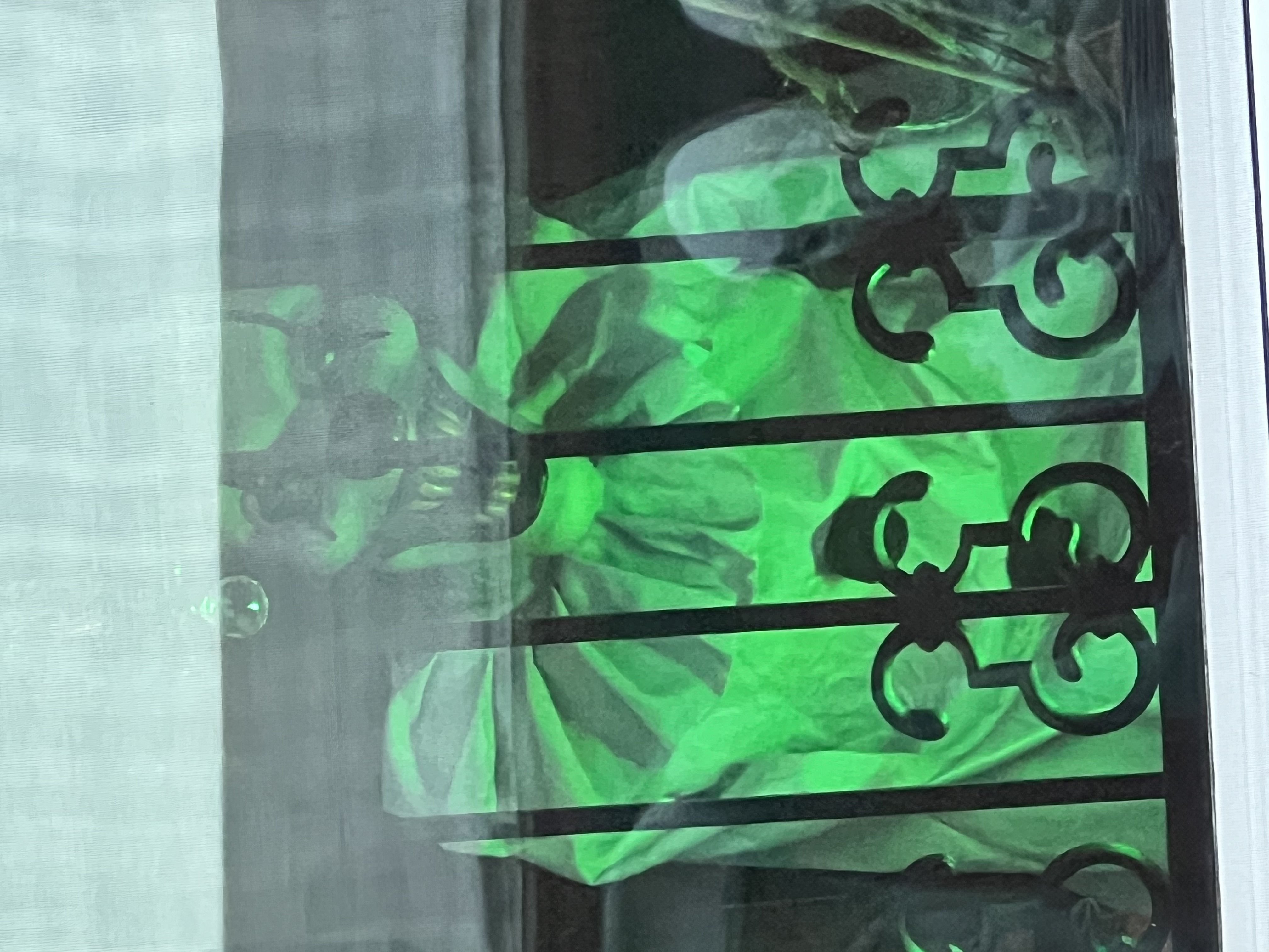 ./2024/10 - Myrtle Beach/IMG_3334.jpg